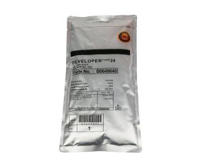Type 24 Developer (Japan)